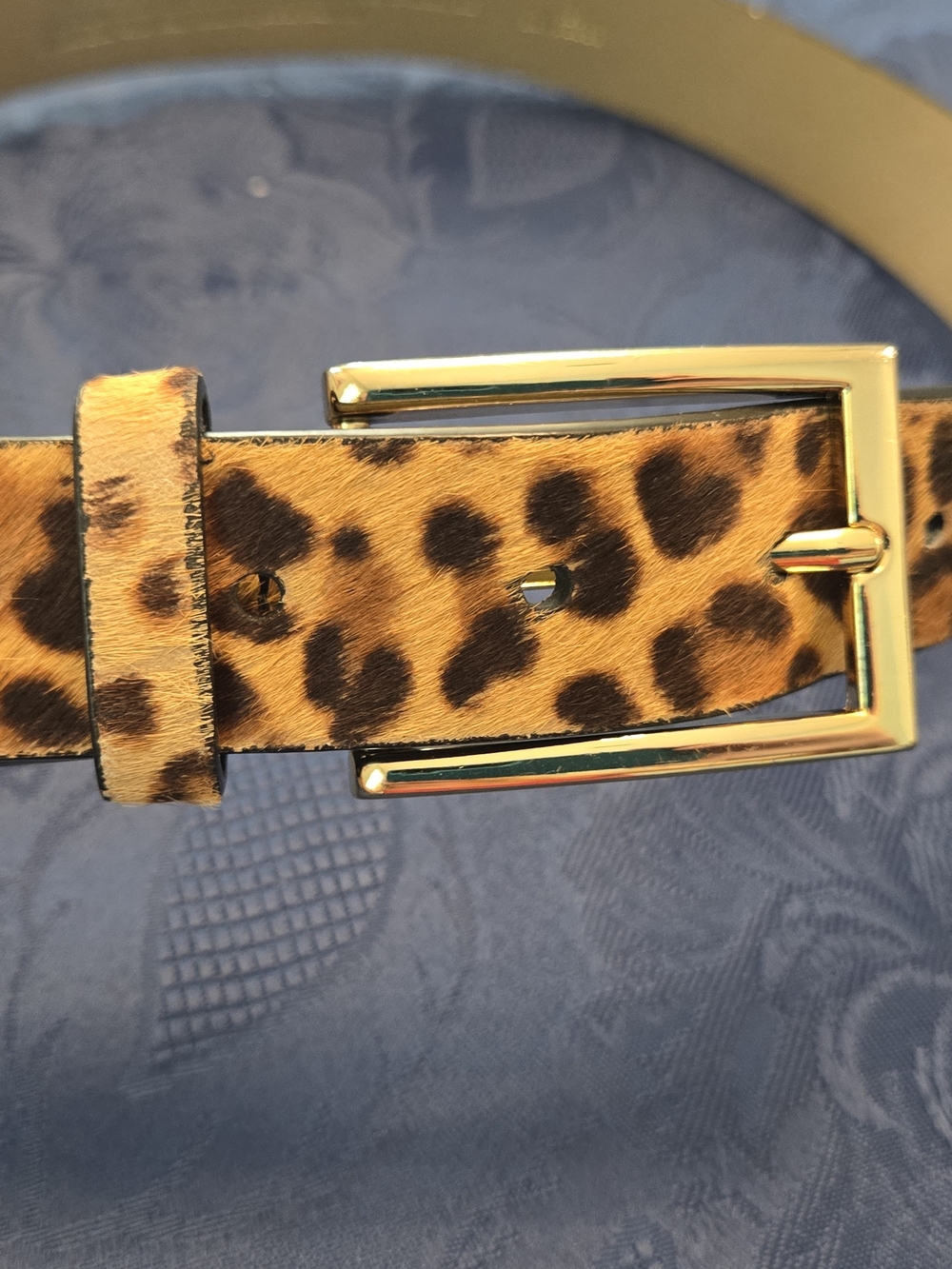 Express Leopard Print Belt with Gold Buckle
